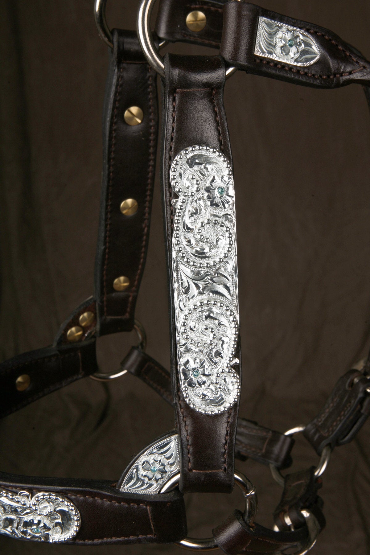 #345 Santana Halter