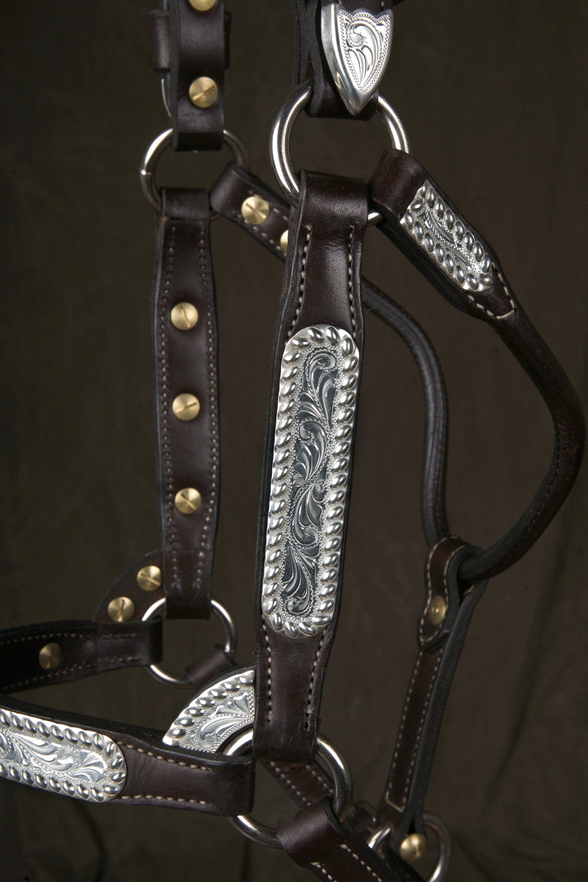 #34 Sterling Overlay Halter