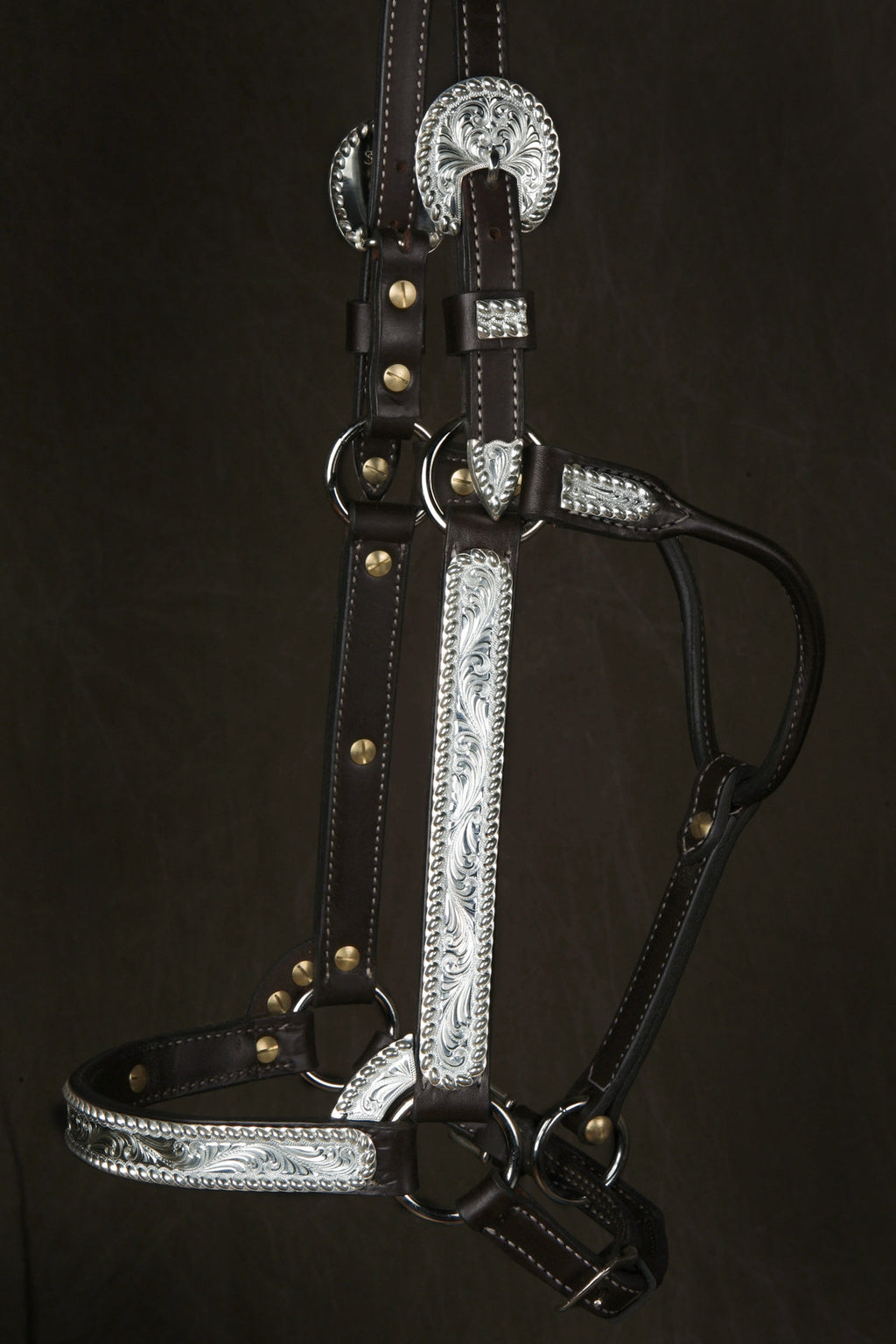 #34 Sterling Overlay Halter