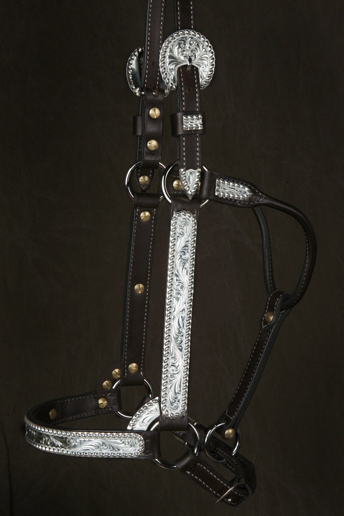 #34 Sterling Overlay Halter