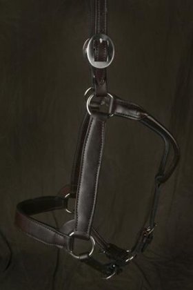 Kathy's Leather Halter