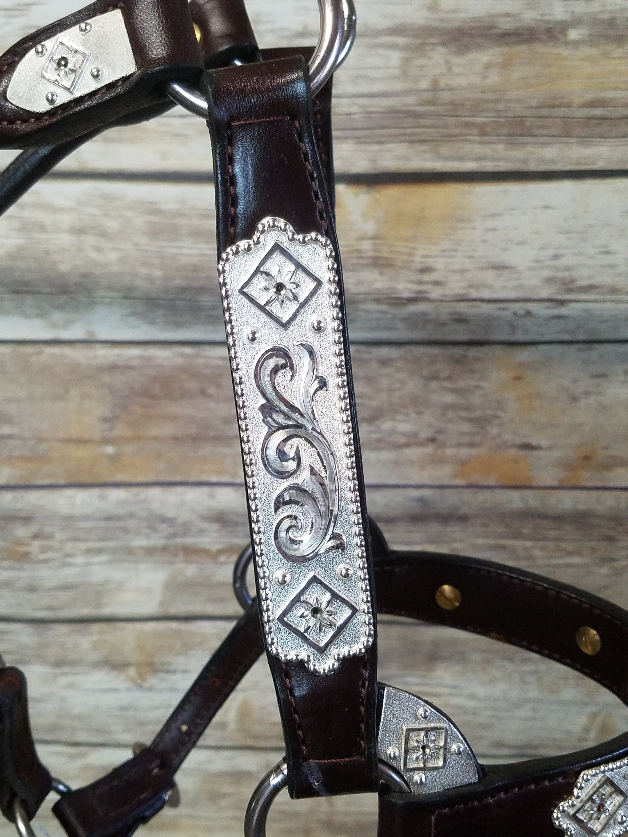 #321 Santana Halter