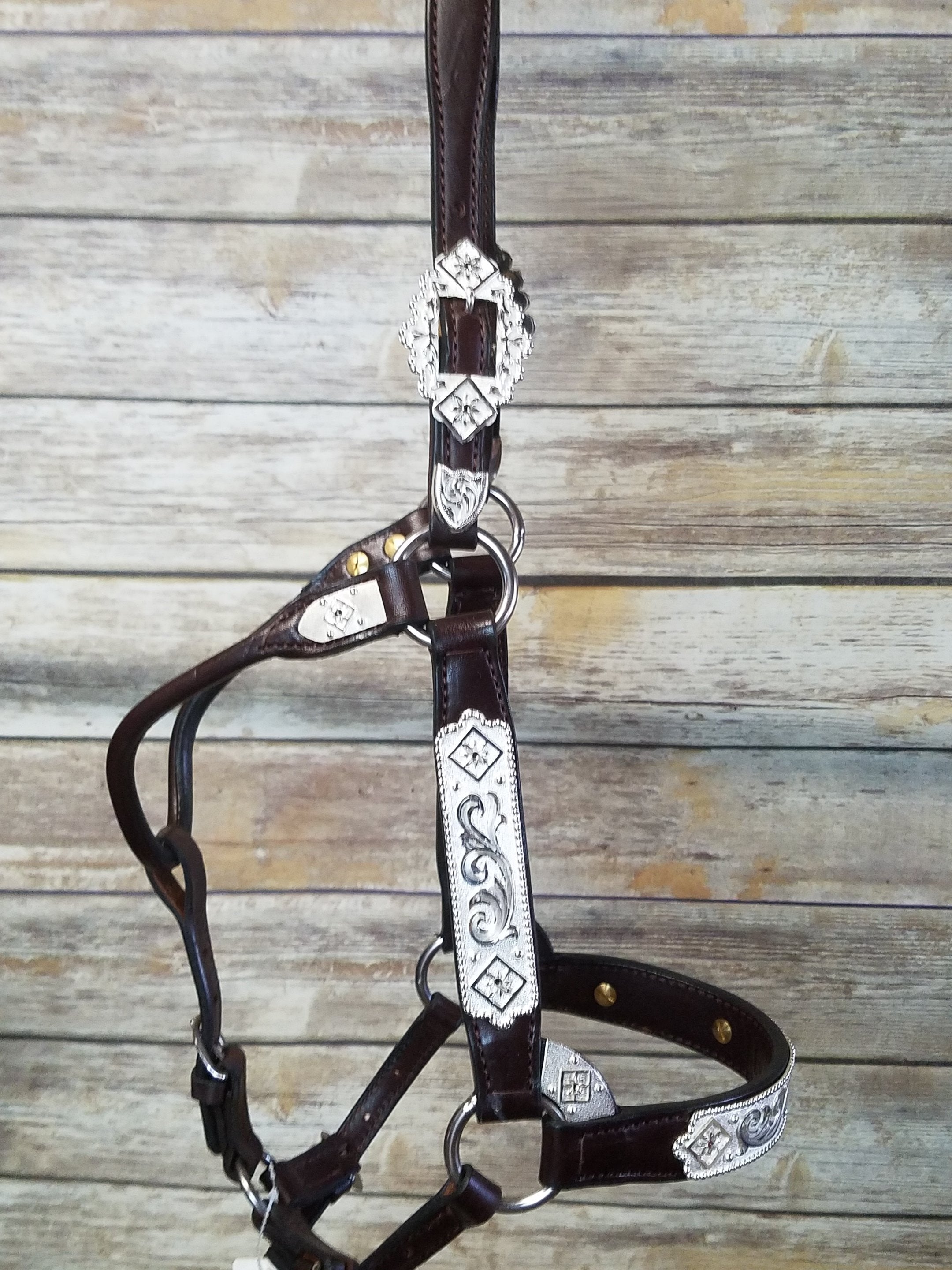 #321 Santana Halter