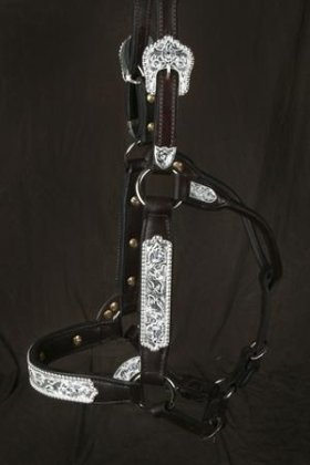 #325 Santana Halter