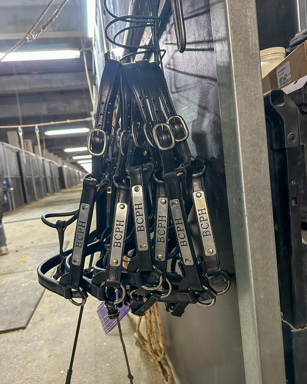 Leather Barn Halter