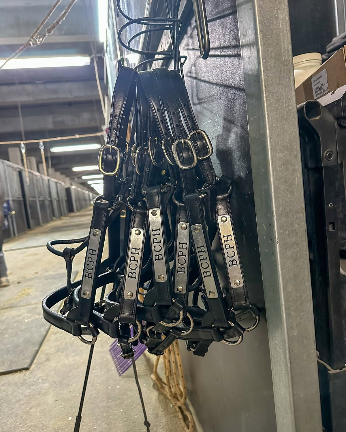 Leather Barn Halter