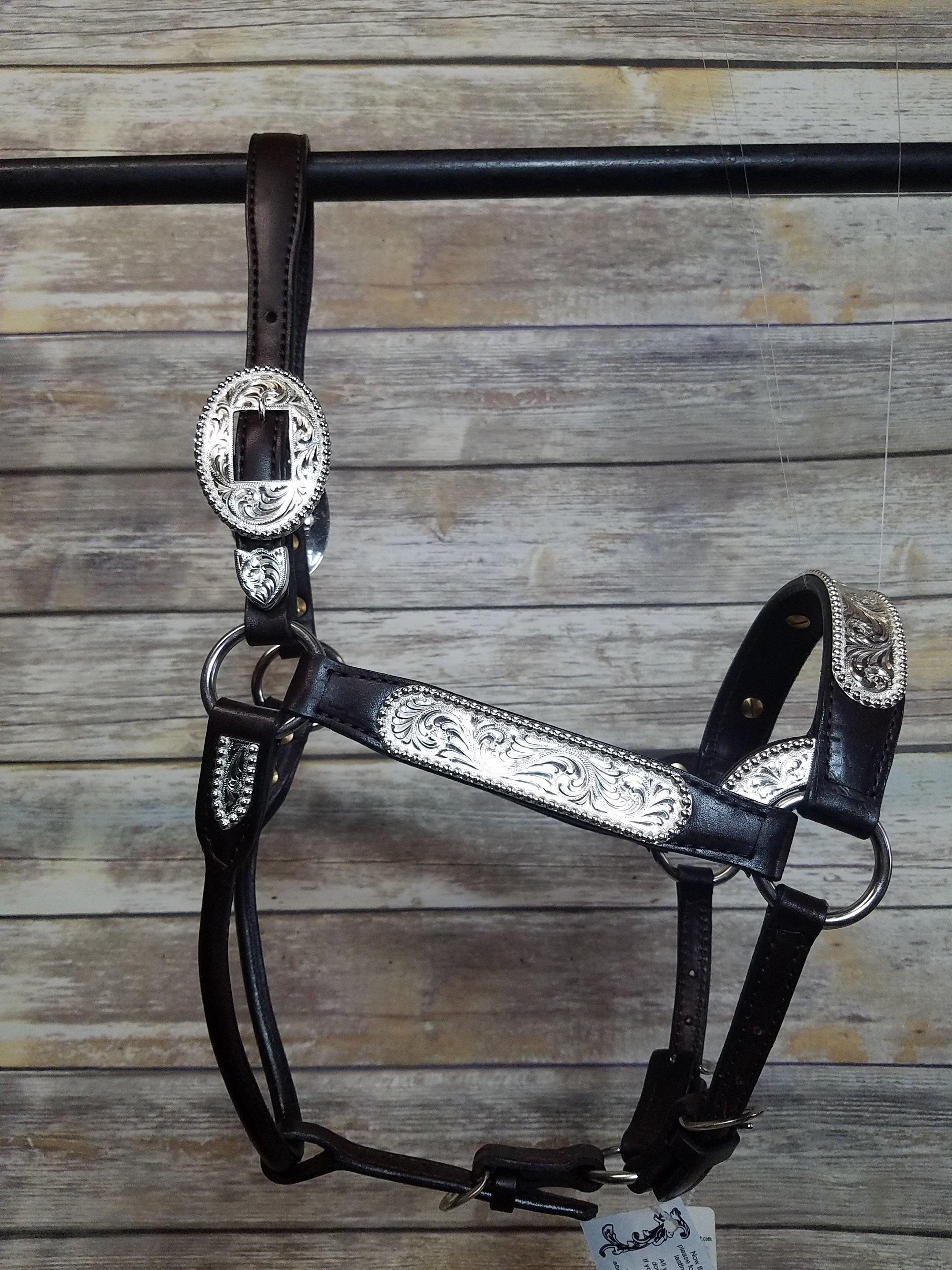 #100 Santana Halter
