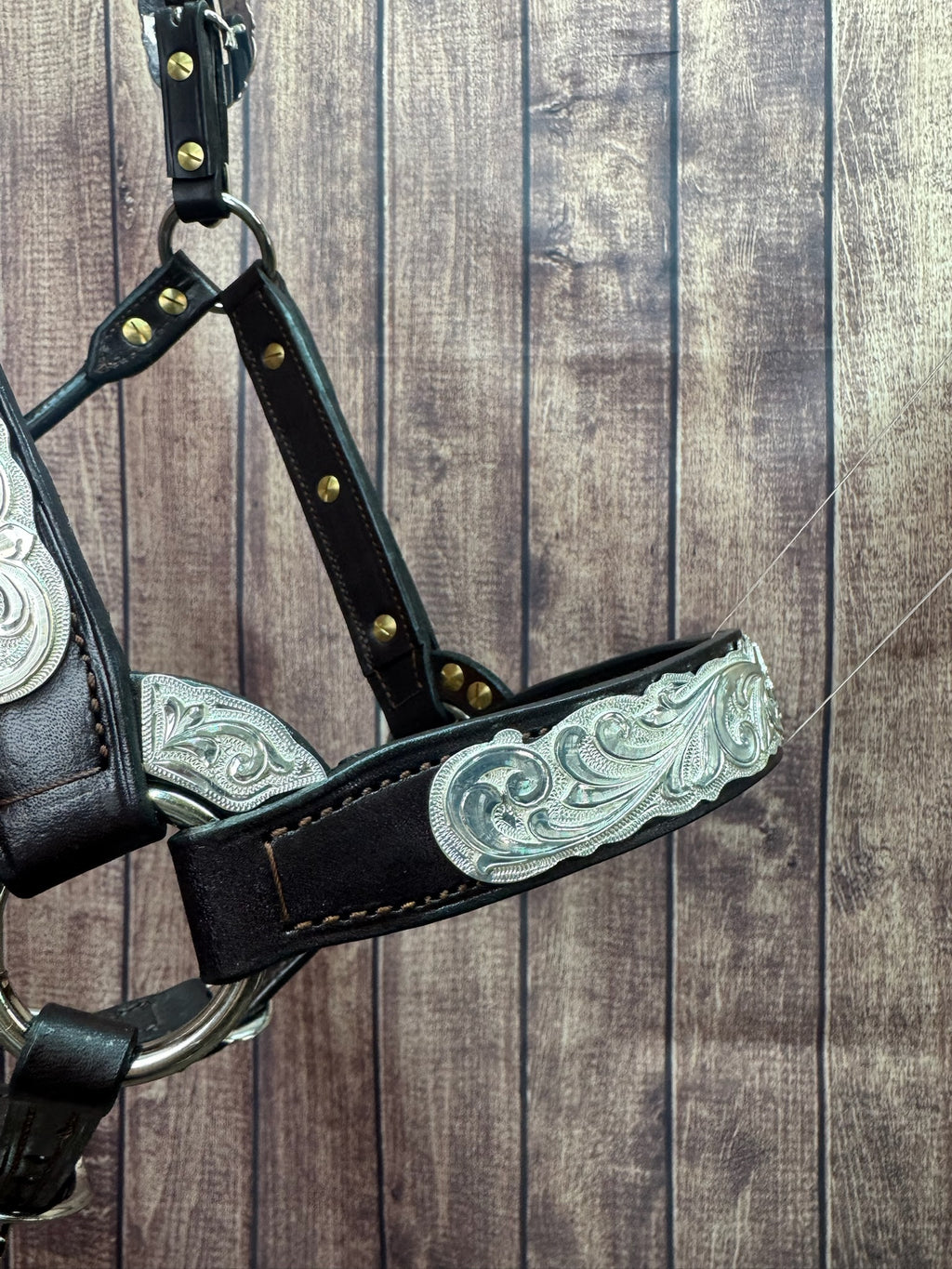 #435 Santana Halter