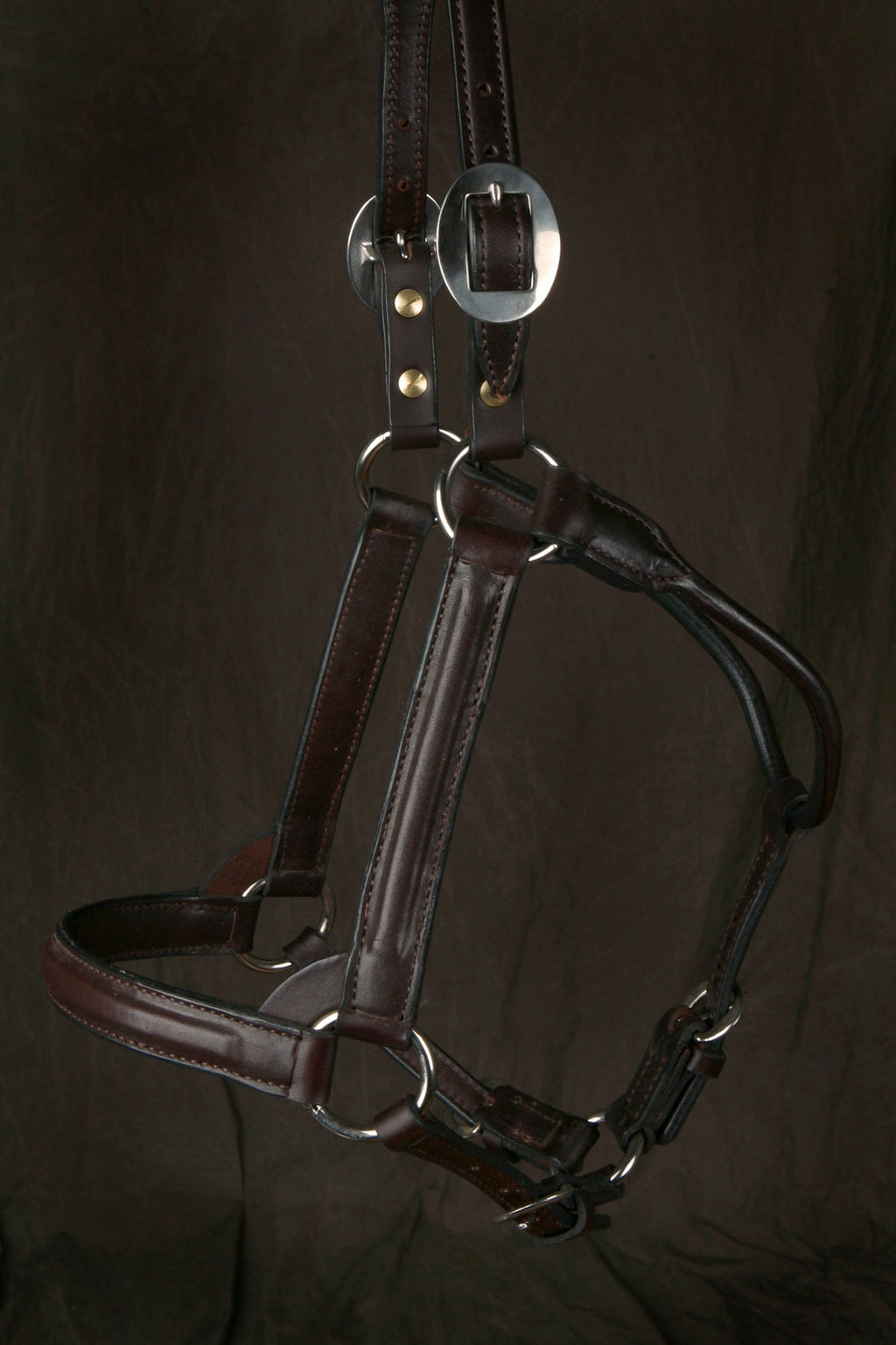 English Show Halter with Rolled Accent