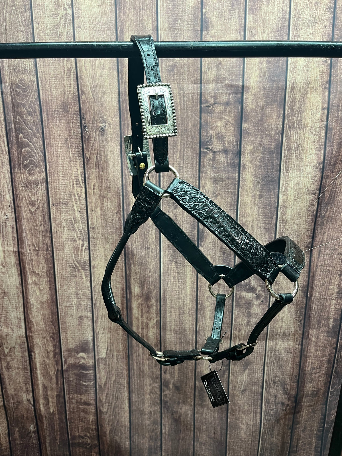 Caiman Halter #3 2Yr/Mare