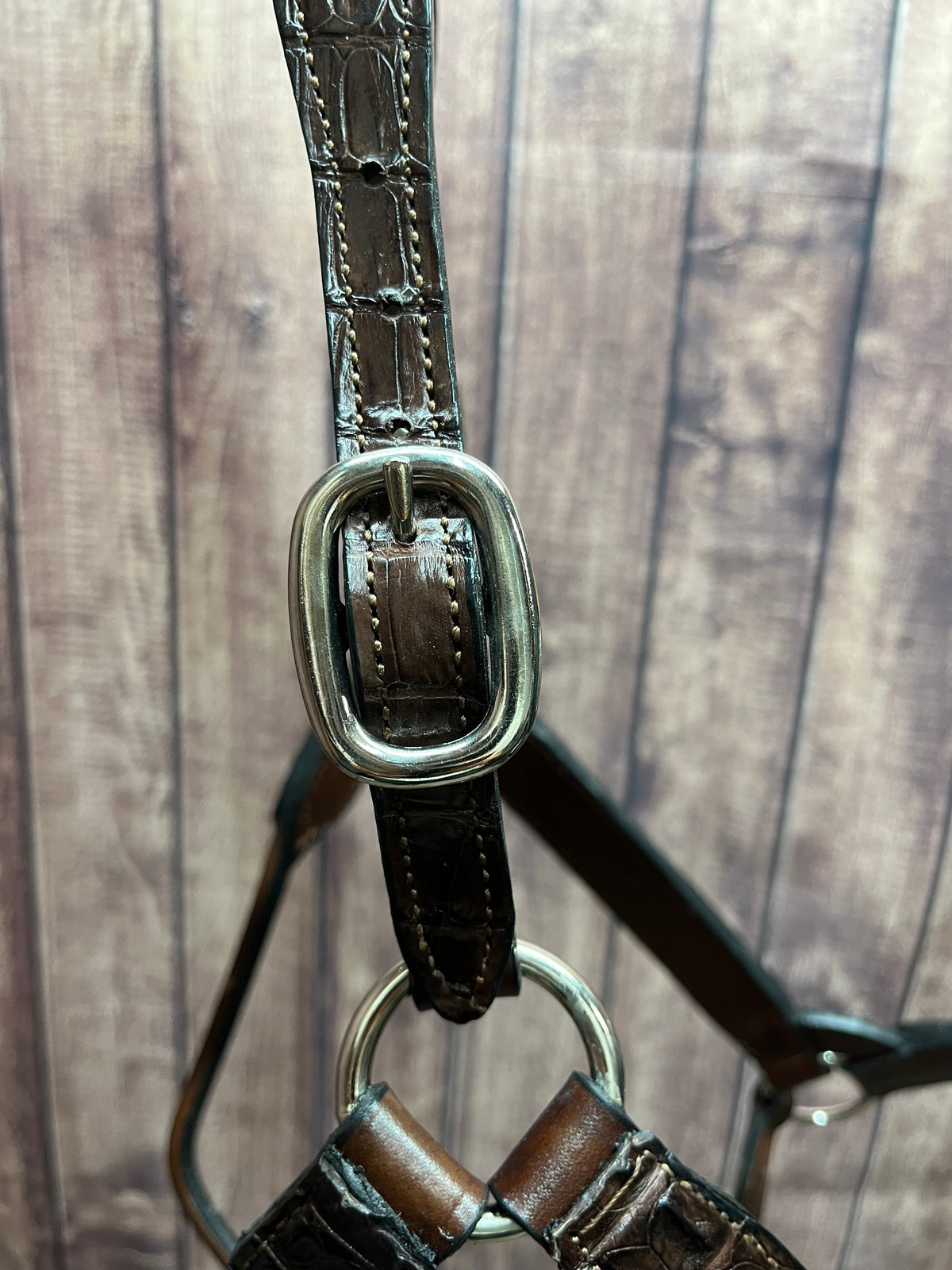 Caiman Halter #17 Large Horse