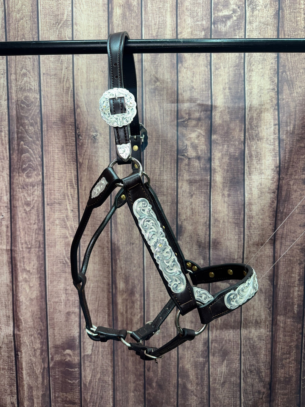 #435 Santana Halter