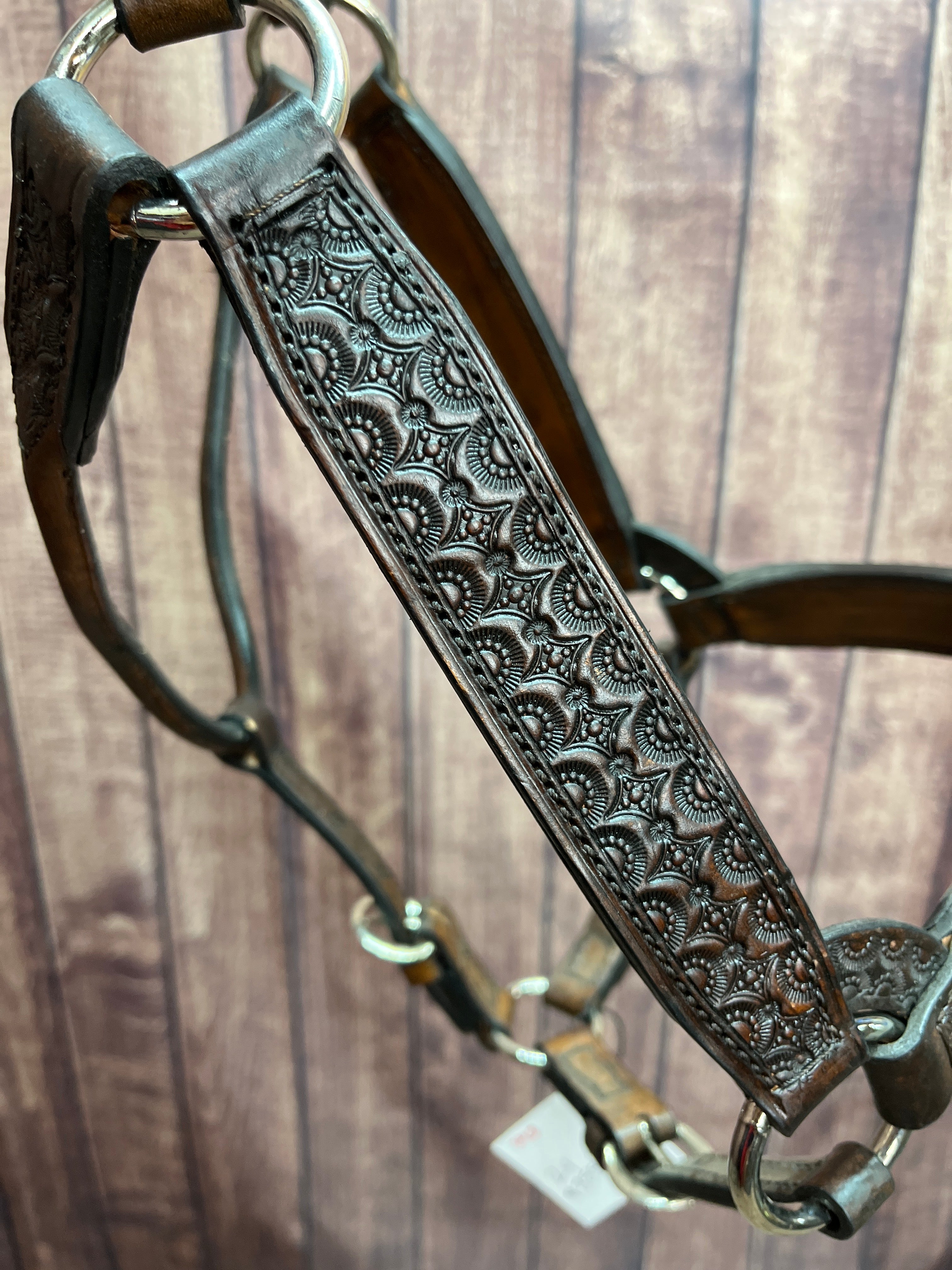 Tooled Halter #43 2Yr/Mare