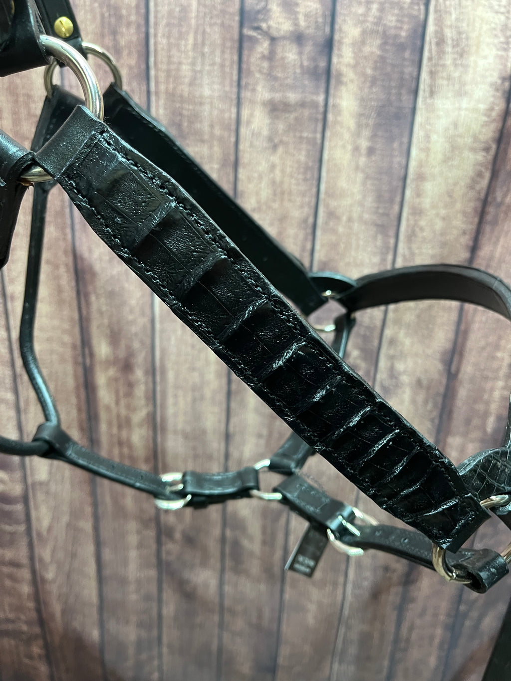 Caiman Halter #15 Large Horse