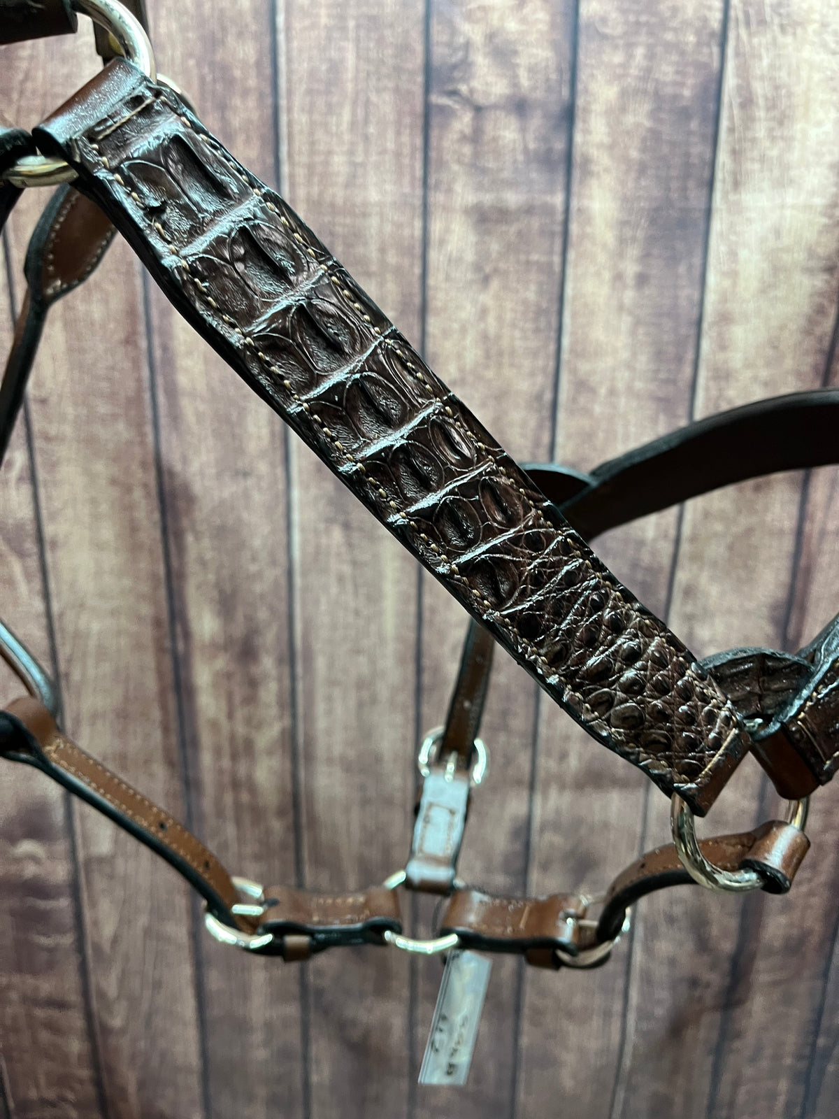 Caiman Halter #17 Large Horse
