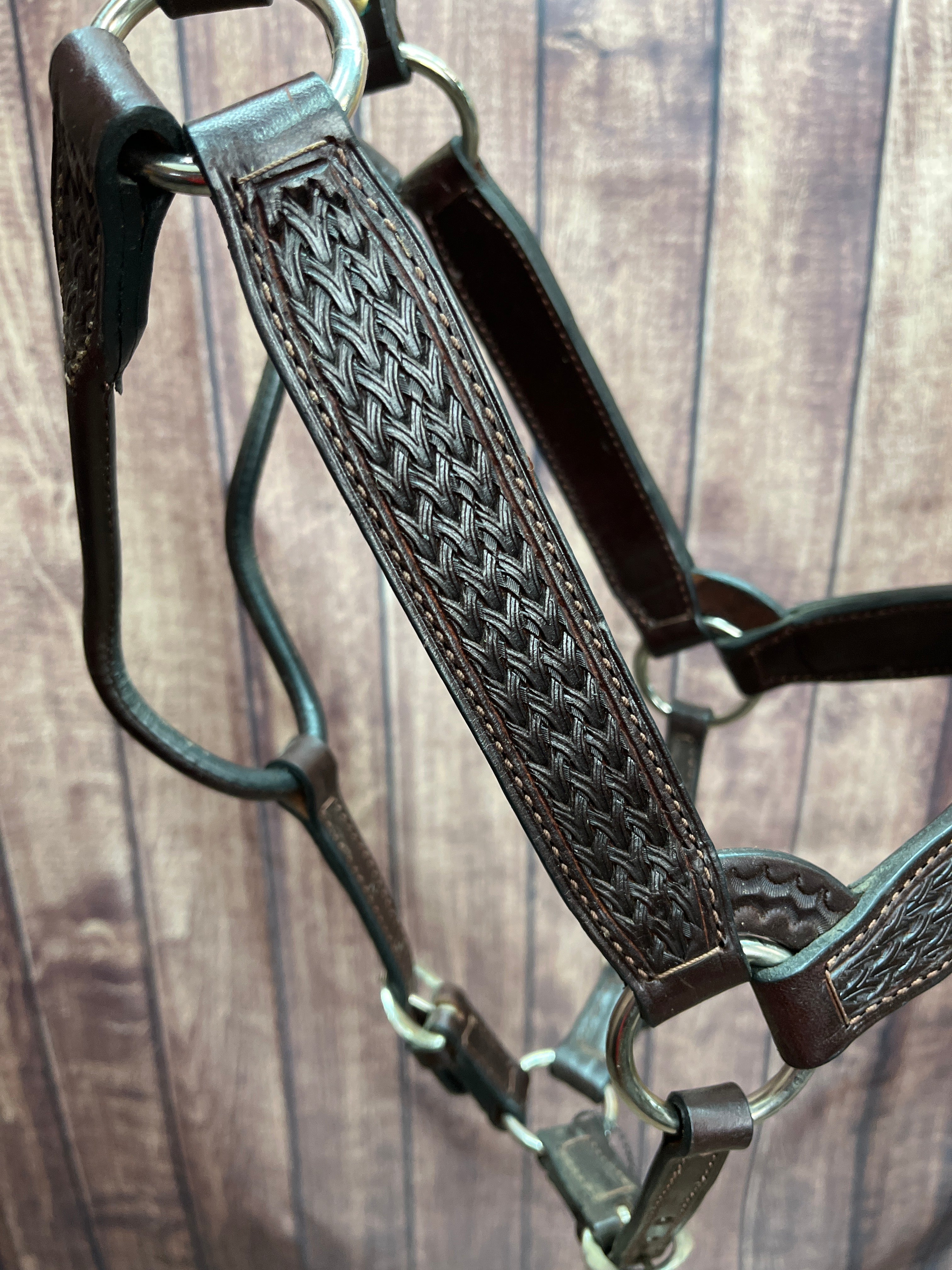 Tooled Halter #41 2Yr/Mare