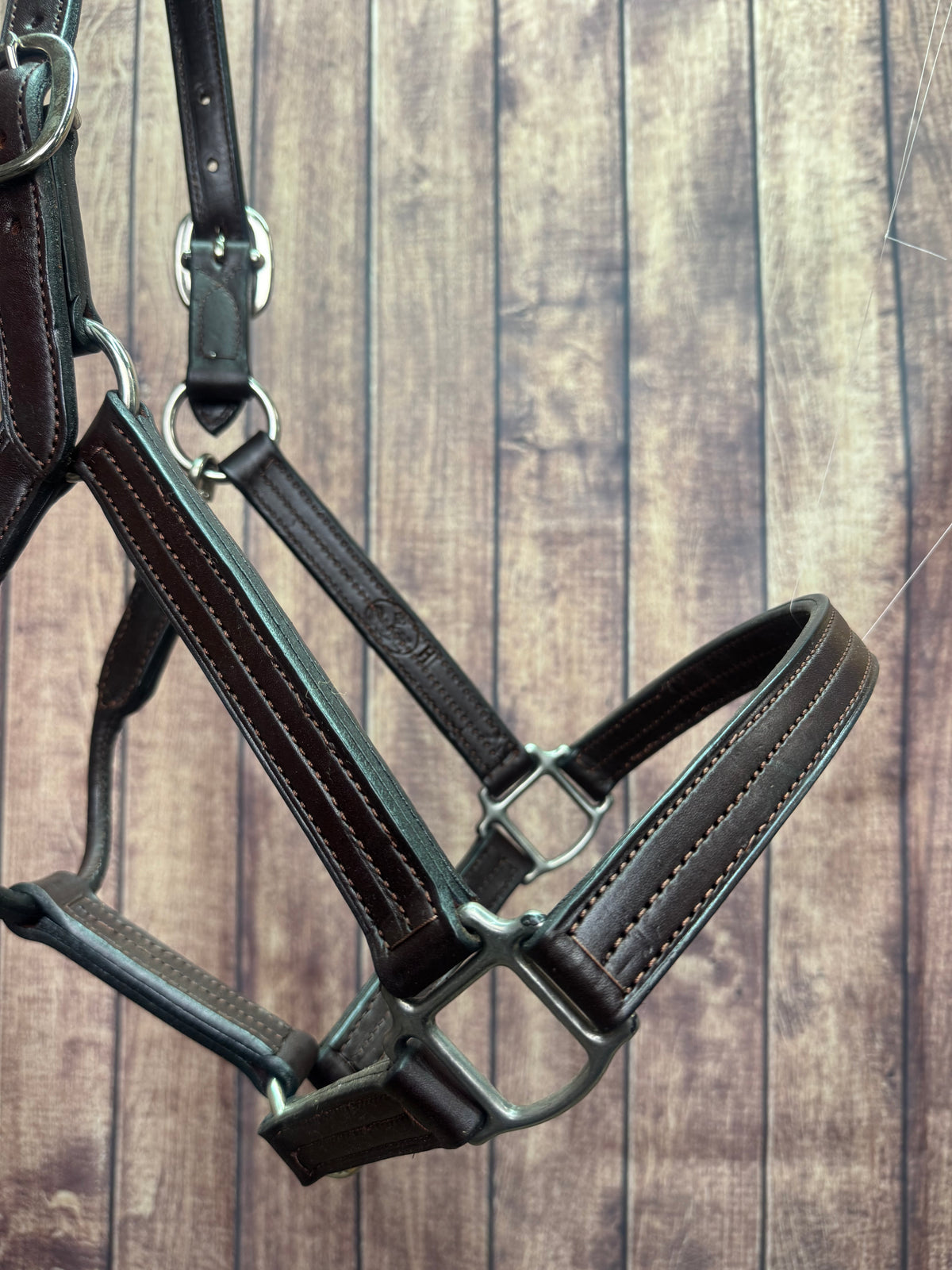 Leather Barn Halter