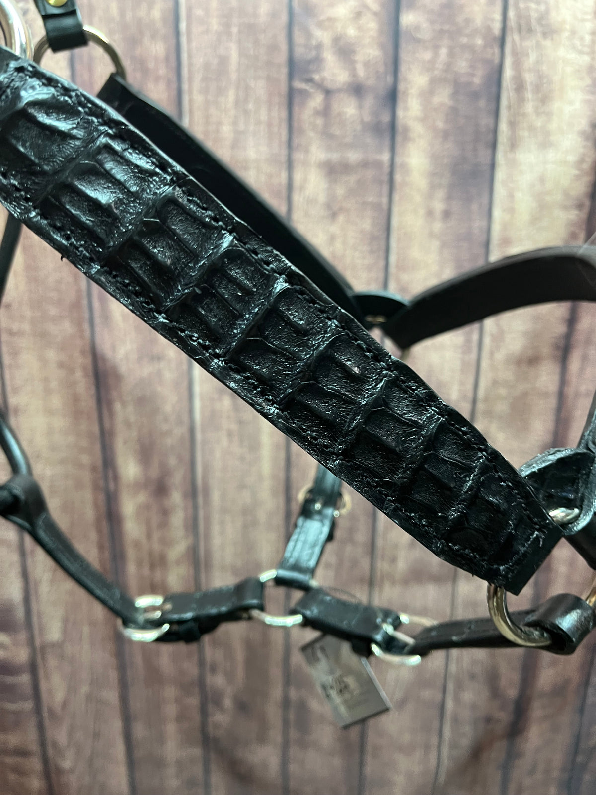 Caiman Halter #7 Horse