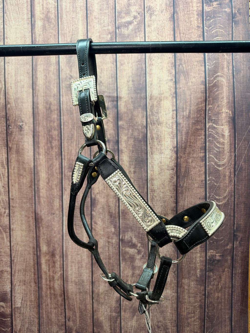 Santana Yearling Halter #106 Black