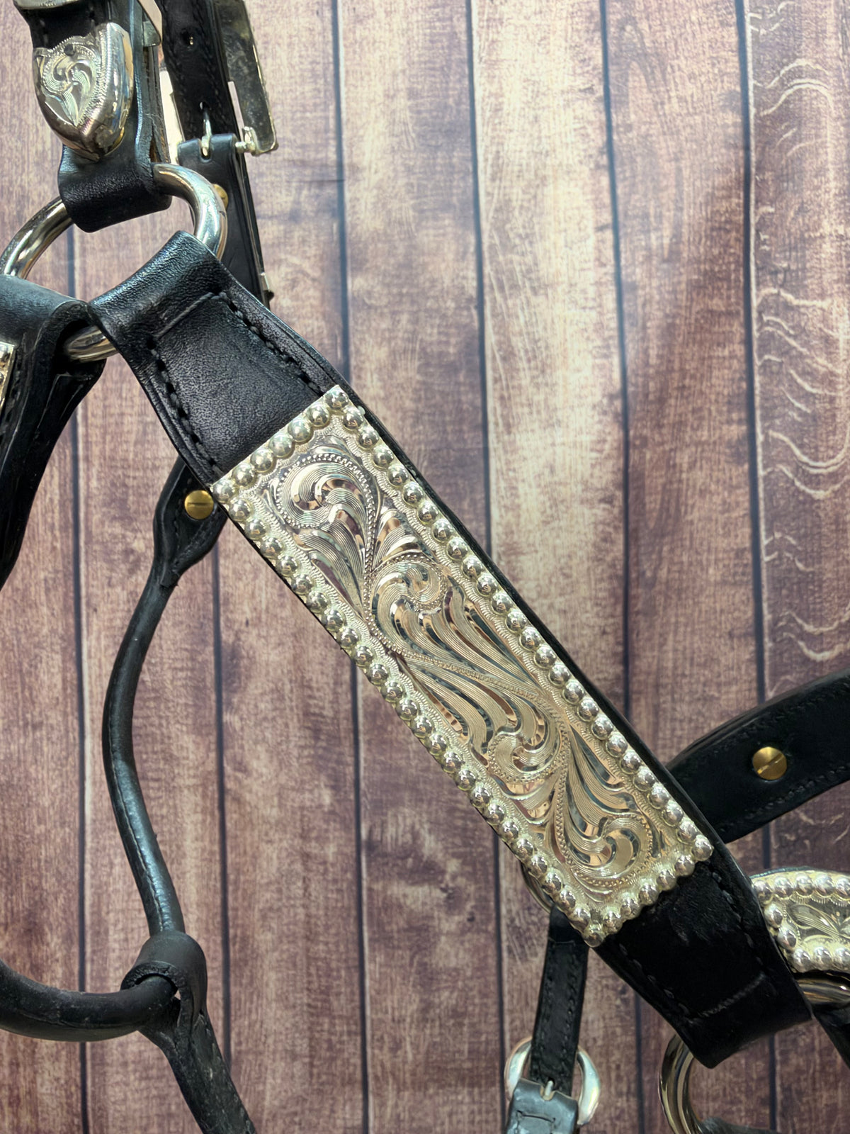 Santana Yearling Halter #106 Black