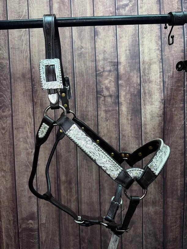 Yearling Halters