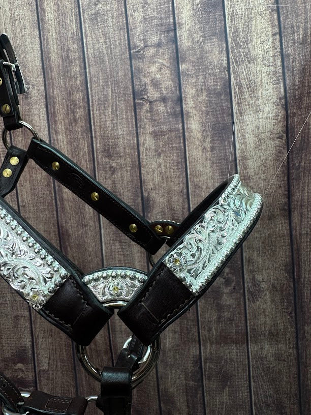 #103S Santana Halter