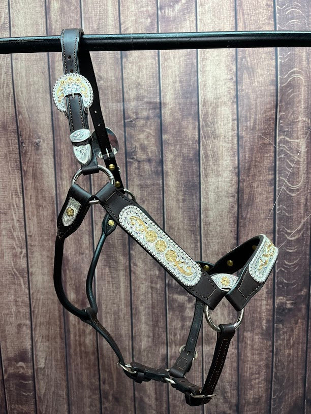 #290 Santana Halter