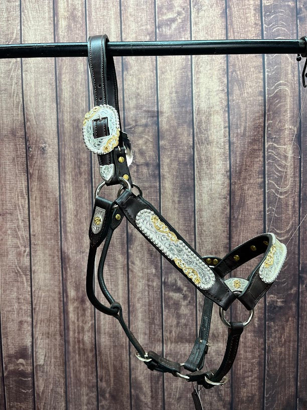 #210 Santana Halter