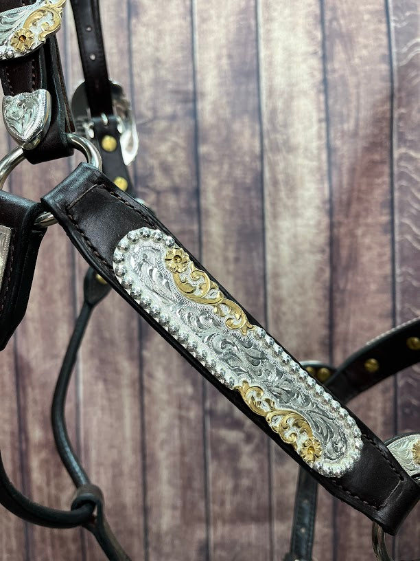 #210 Santana Halter