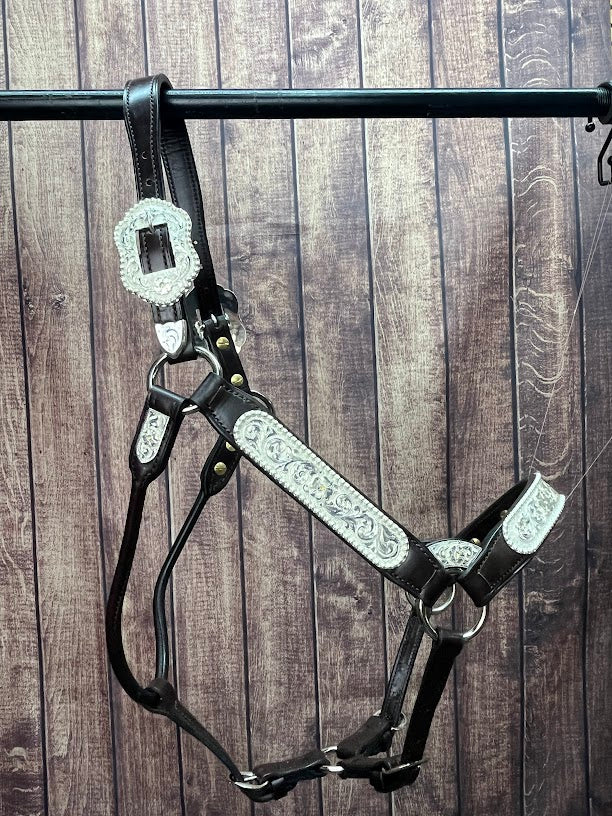 #255 Santana Halter