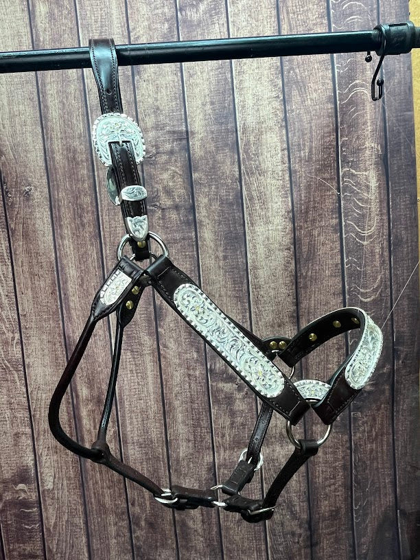 Yearling Halters