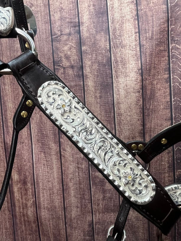 #311 Santana Halter